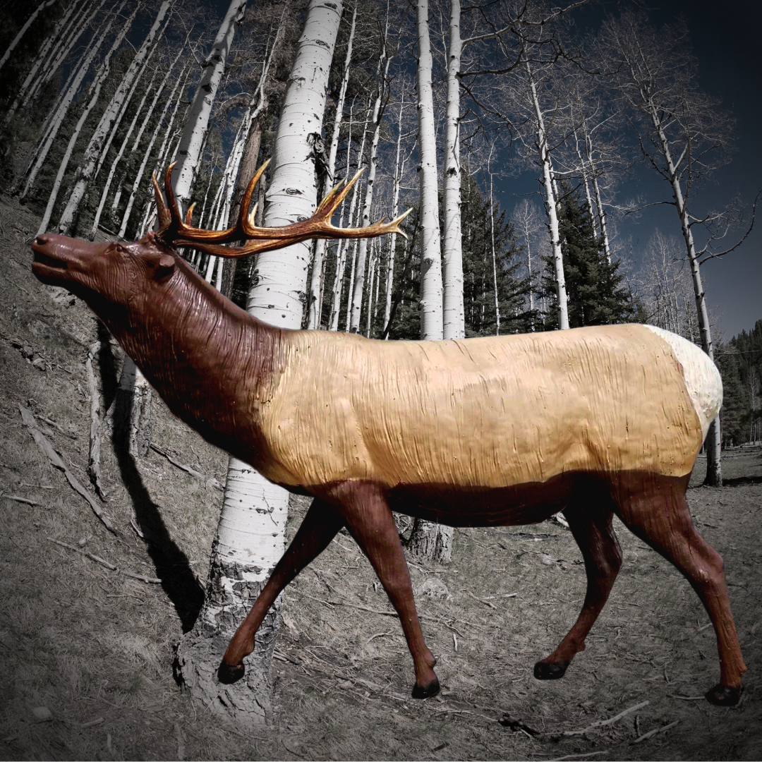 3 D Targets Pac Bow Archery